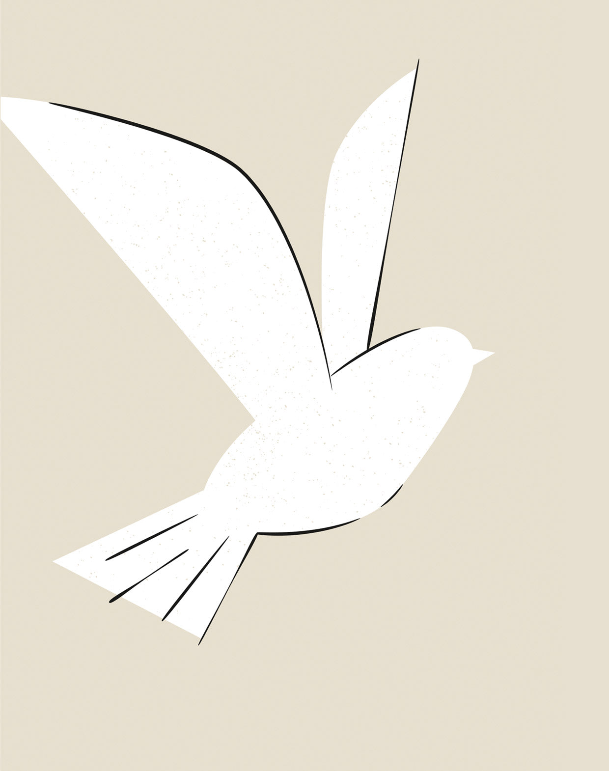 Illustration Taube